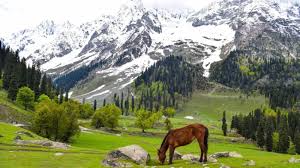 Package of Centre pushes green, eco-tourism in J&K