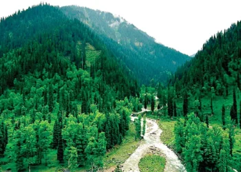 Tribal Affairs to oversee Forest Rights Act in J&K