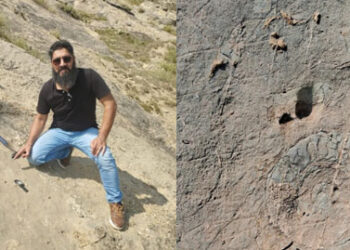 252-million-year-old ‘nature’s library’ in Kashmir gets national geo-heritage tag