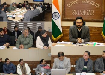 DC Srinagar reviews ABHA ID generation, Vay Vandhana enrolment, TB control measures