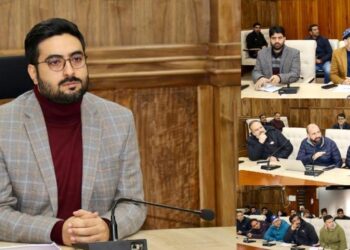 DC Srinagar reviews PM Surya Ghar Muft Bijli Yojana implementation