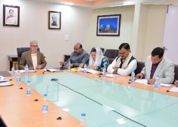 Cabinet okays proposals for 5-marla plots to flood-hit, salary hike for VLWs