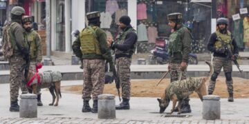 New Year celebrations:Security forces on high alert in J&K