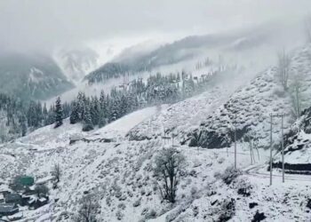 J&K higher reaches receive snowfall, weather to remain dry till Jan 20: MeT