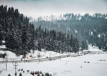 Winter snowfall crucial for Kashmir’s agriculture, water security: Experts
