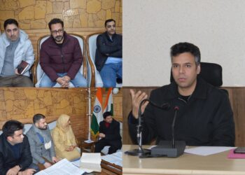 DC Budgam chairs meeting to expedite authentication, protection of Hokersar Wetland