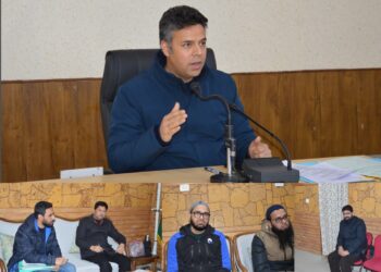 DC Budgam reviews digitisation of revenue records