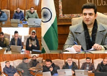 DC Kulgam reviews revenue department, stresses timely service delivery