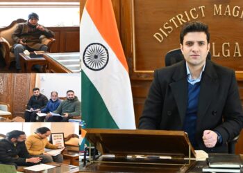DC Kulgam approves 73 new cases in 5th DLIC meeting