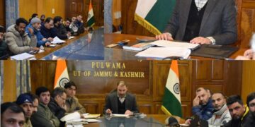 DC Pulwama reviews telecom infrastructure