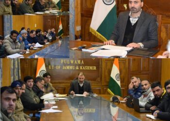 DC Pulwama chairs DLTC meet, revises scale of finance for crops