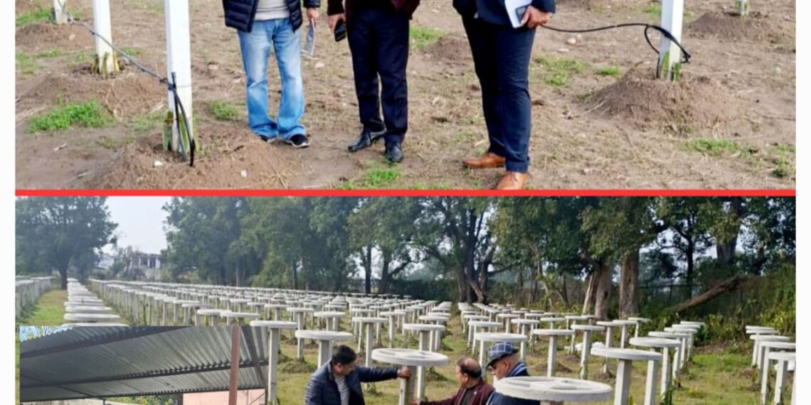Director Horticulture Jammu inspects development activities in Marh Block