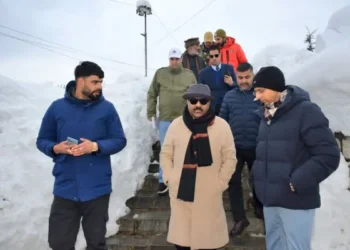 Dy CM inspects snow hit areas of Pulwama, Shopian