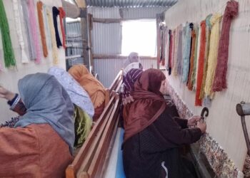 Handicrafts Dept launches SAMARTH skill training to revive carpet weaving in Kashmir