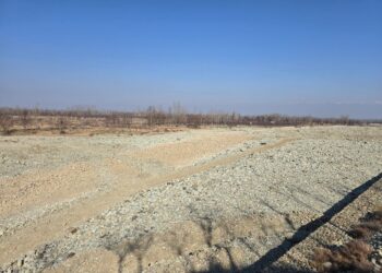 Kulgam’s Veshow Nallah, a key Jhelum tributary, runs completely dry
