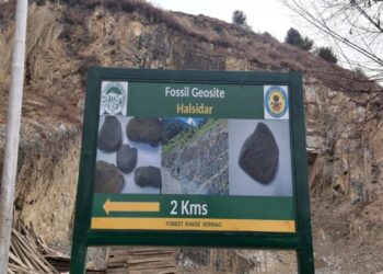 Three ancient fossil sites in Anantnag to be preserved for research, geo-tourism growth