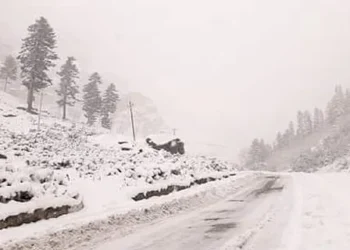Snowfall in higher reaches chills Kashmir; dense fog in Jammu