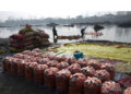 Kashmiri farmers washing and cleaning carrots along canal banks during carrot harvest season