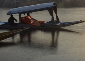 Man rowing Shikara in Dal Lake on Saturday early morning
