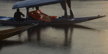 Man rowing Shikara in Dal Lake on Saturday early morning