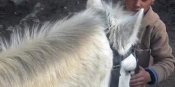 Pahalgam’s ‘Little Star’ Melts Hearts