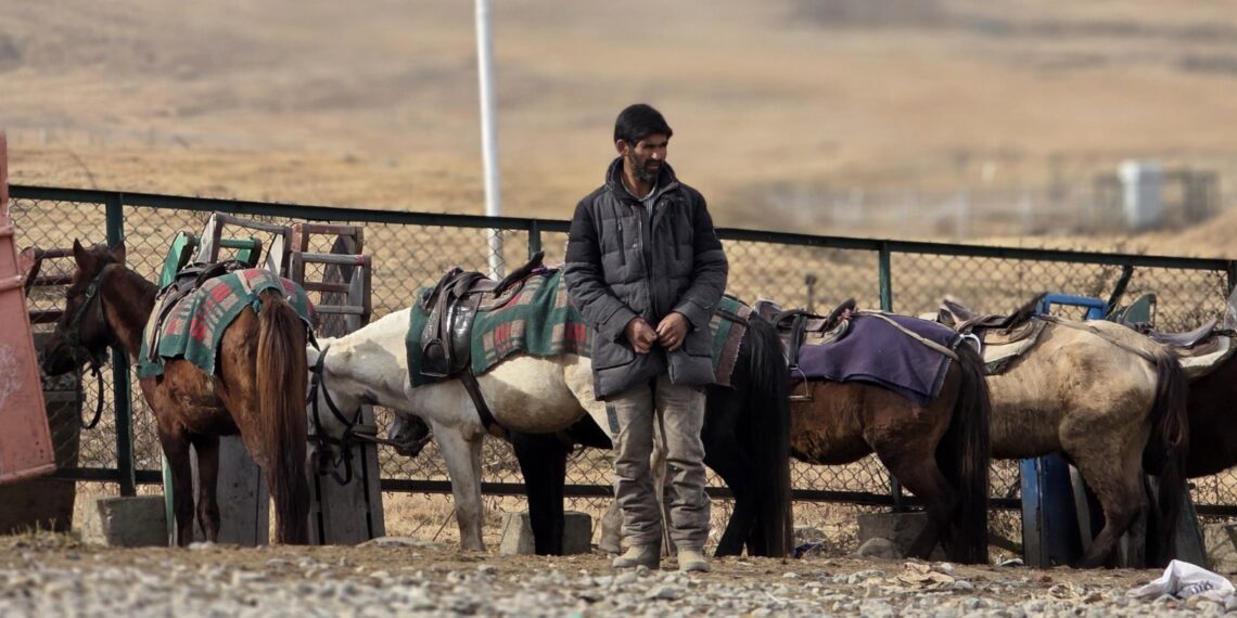 Kashmir livestock traders face harassment for 47 days, ‘Punjab government silent’