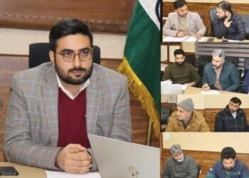 DC Srinagar reviews land records digitization, modernization progress