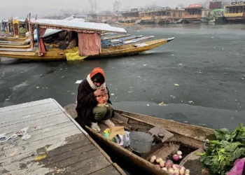 Cold wave prevails, Dal, Wular lakes freeze