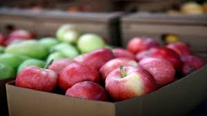 === ‘Threat’ from New Zealand imports ===  J&K Govt conveys apple growers’ concerns to Centre