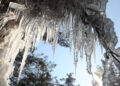 Icicles hanging on trees in Tangmarg area of north Kashmir’s Baramulla district