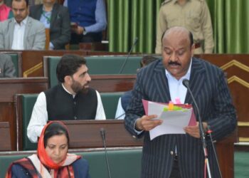Govt to establish 2 industrial estates in Pattan: Deputy CM