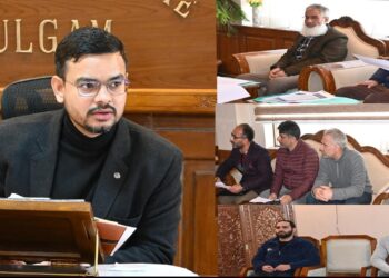 DC Kulgam reviews progess of PM Surya Ghar–Muft Bijli Yojana
