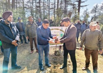 ADC Bhaderwah leads plantation drive at Village Domanda