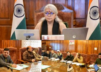 DC Bandipora reviews environment plan