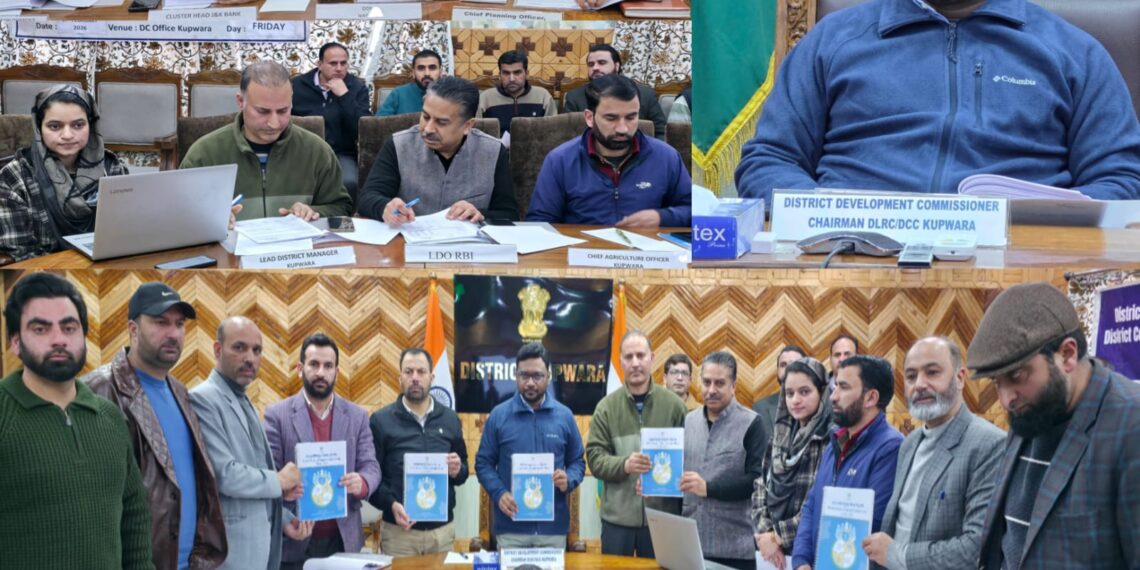 DDC Kupwara chairs DLRC meeting