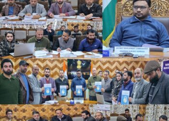 DDC Kupwara chairs DLRC meeting