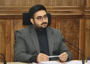 DC Srinagar reviews telecom infrastructure at District Telecom Committee meeting