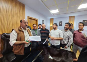 Dy CM meets delegations, assures people centric governance