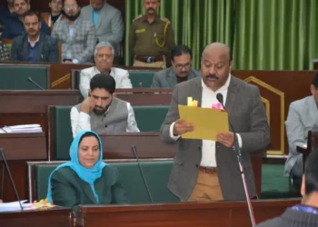 Govt mulls 5 Marla land allotment to Bagra flood victims: Dy CM