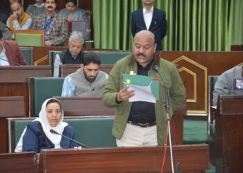 High Level Committee to finalize stone quarrying modalities: Dy CM