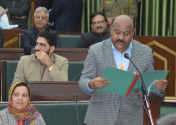 Permanent restoration of Larnoo Bridge underway at cost of Rs 2 crore: Deputy CM