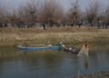 Fishermen cast their net in Wullar lake in north Kashmir’s Bandipora district
