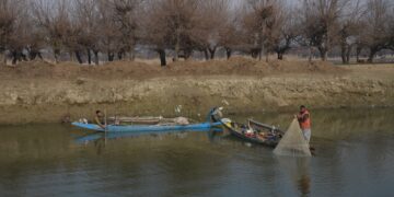 Fishermen cast their net in Wullar lake in north Kashmir’s Bandipora district
