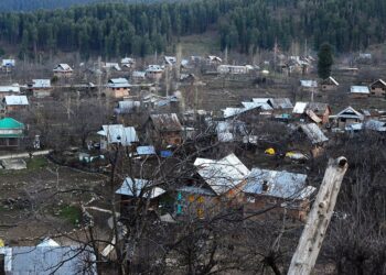 ‘48% of J&K under forest land’