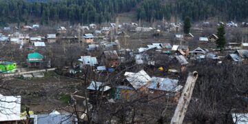 ‘48% of J&K under forest land’