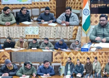 DC Kupwara reviews public grievances redressal