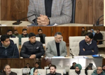 PM Surya Muft Bijli Yojana: DC Srinagar implementation status