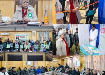 DC Bandipora presides over Unani Day celebrations