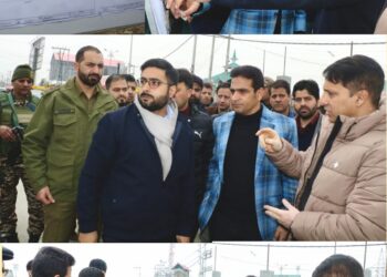 DC Srinagar reviews sites for underpasses, footbridge 