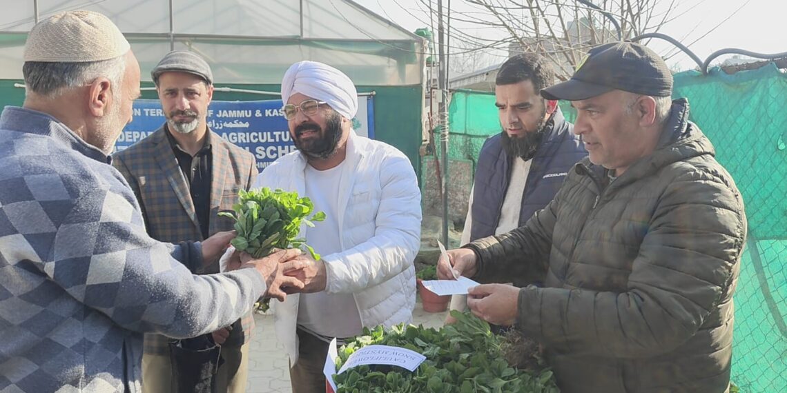 Joint Director Agriculture Inputs inaugurates sale of Vegetable Seedlings at Kitchen Garden Lalmandi